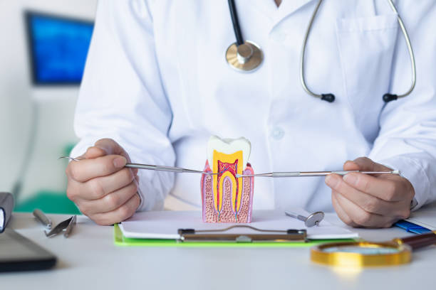 Best Emergency Tooth Extraction in Siloam Springs, AR
